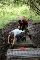 Jun 2012: 5D boardwalk repairs